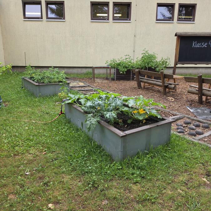 Grünes Klassenzimmer
