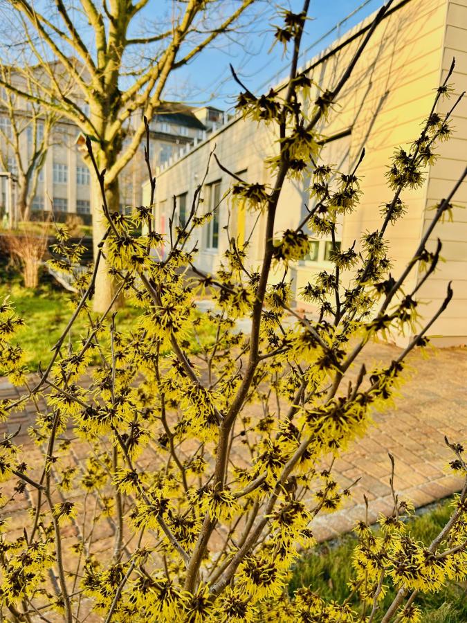 Frühlingserwachen