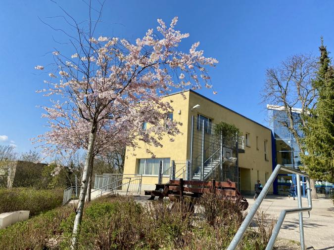 Ansicht vom Hof