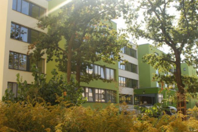 Neubauschule im Hintergrund, Bäume im Vordergrund