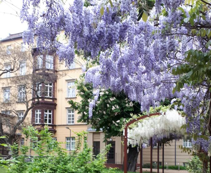 Henriette-Goldschmidt-Schule Leipzig Hofseite